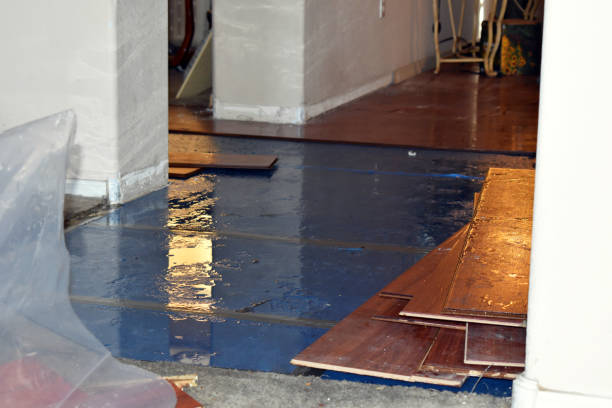 Professional Burst Pipe Water Damage technician working in Banco, VA